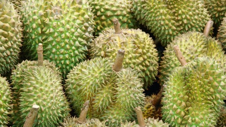 6 persoane au ajuns la spital și alte zeci au fost evacuate din cauza unui pachet suspect: ce conținea