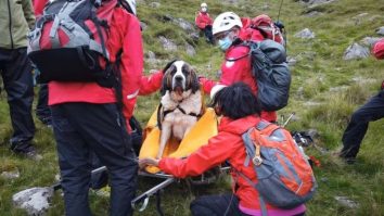 Operațiune de salvare pentru un Saint Bernard. Daisy se prăbușise pe cel mai înalt munte din Anglia FOTO