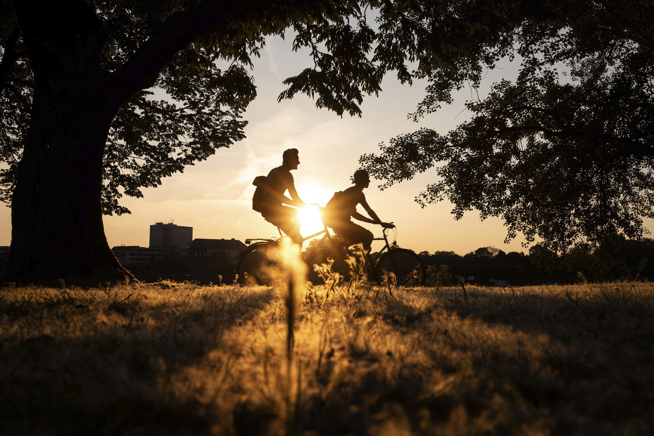 Tu cum îţi petreci weekend-urile? Idei de ieşit din casă în pandemia de Covid-19