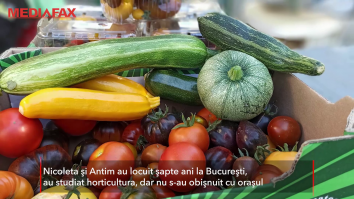 Un cuplu a părăsit Capitala pentru Moldova și s-a mutat la țară ca să facă agricultură bio. Cum funcționează afacerea