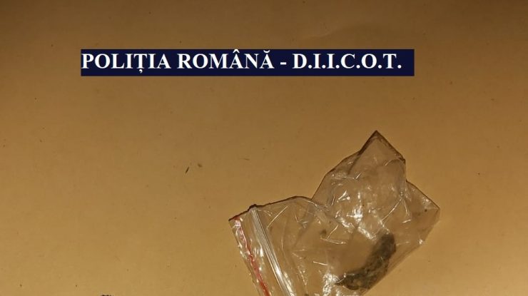 15 persoane care dețineau droguri au fost prinse în Vama Veche. Au fost deschise dosare penale