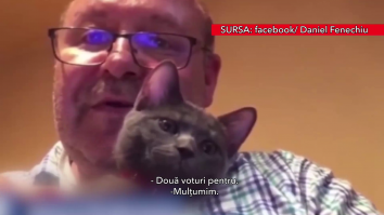 Fenechiu de la PNL și-a adus pisica la dezbaterea Legii carantinei și a băut coniac din „ceșcuță”, în direct, pe video. Cum a reacționat PSD