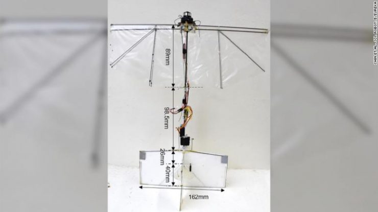 Robotul care poate plana și se poate roti, exact ca o pasăre. Ce plănuiesc cercetătorii pentru el
