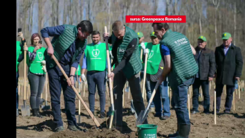 DNA-ul pădurilor, legea propusă de USR, a fost contestată de Guvern. Care sunt motivele