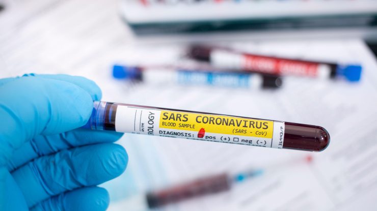 Zoonoza, boala cu transmitere de la animal la om, ar putea fi un real pericol în următorii ani. ONU explică motivele