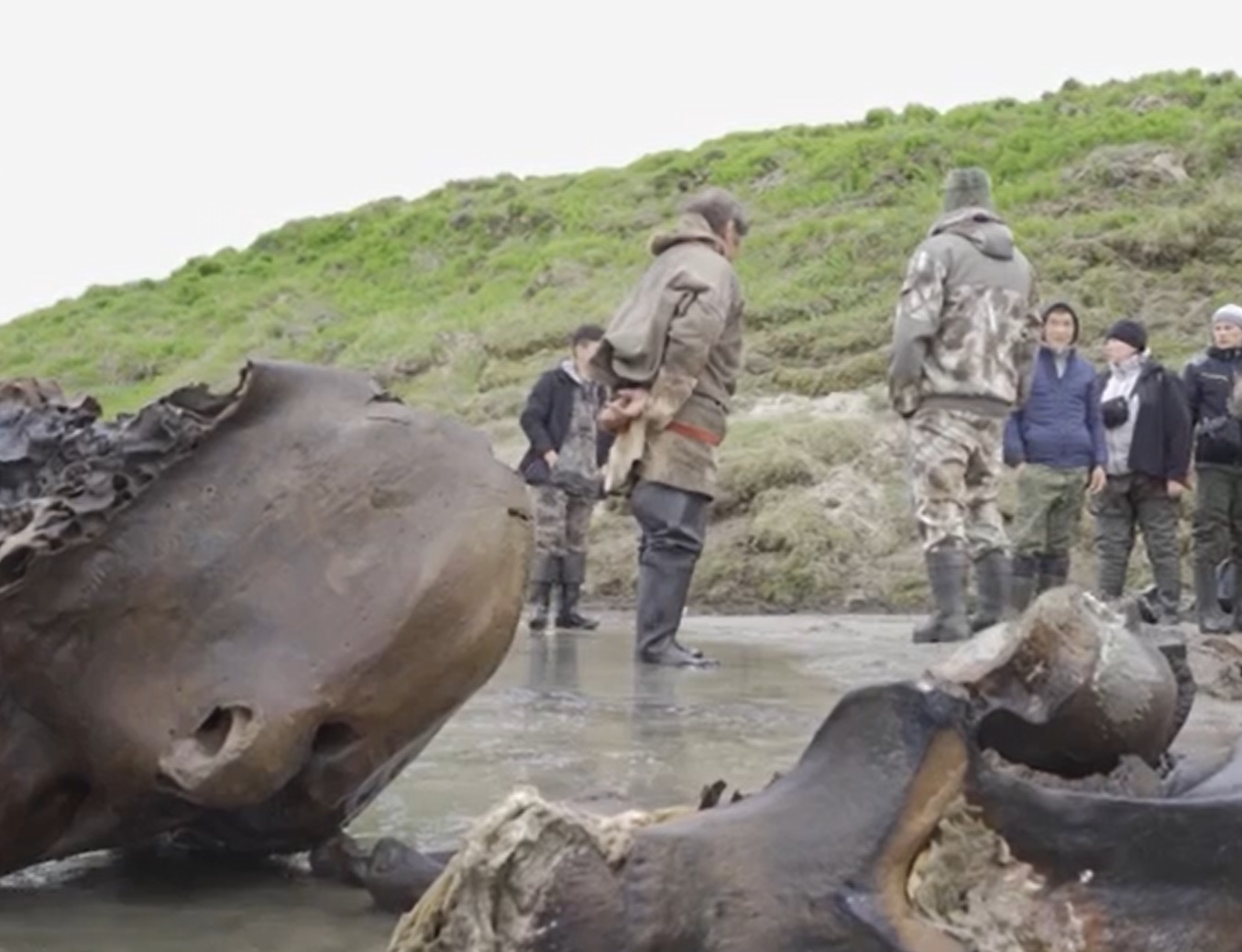 Ce a descoperit un pescar rus într-un lac din peninsula Yamal. Paleontologii extrag oasele
