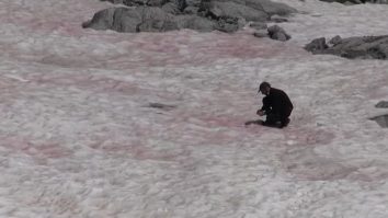 Gheața a devenit roz în Alpi. Fenomenul misterios e studiat de cercetători