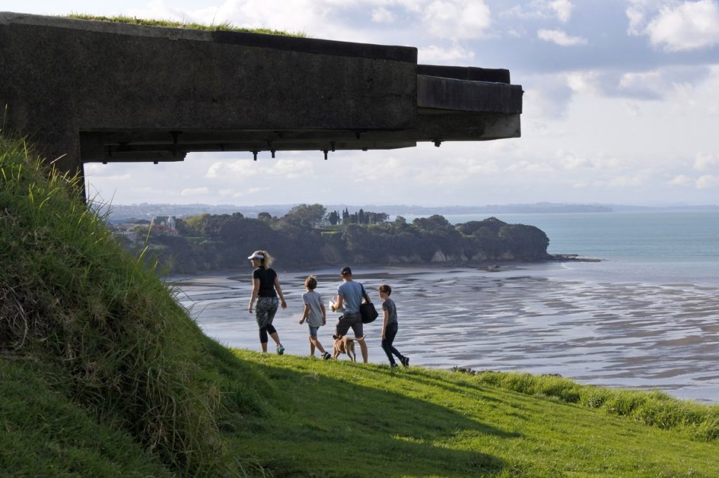Malul mării cu iarbă pe țărm, Noua Zeelandă