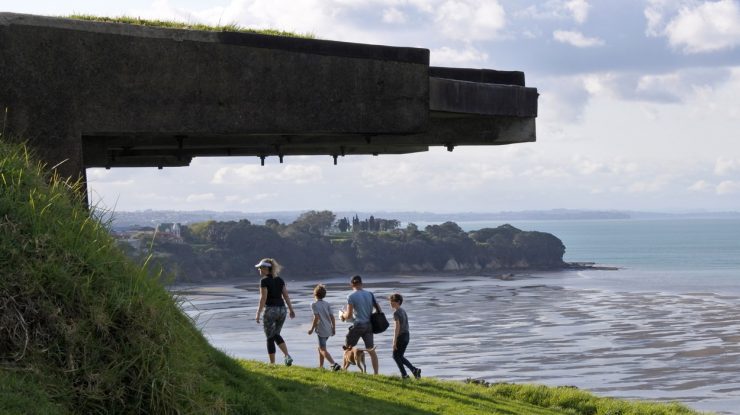 Malul mării cu iarbă pe țărm, Noua Zeelandă