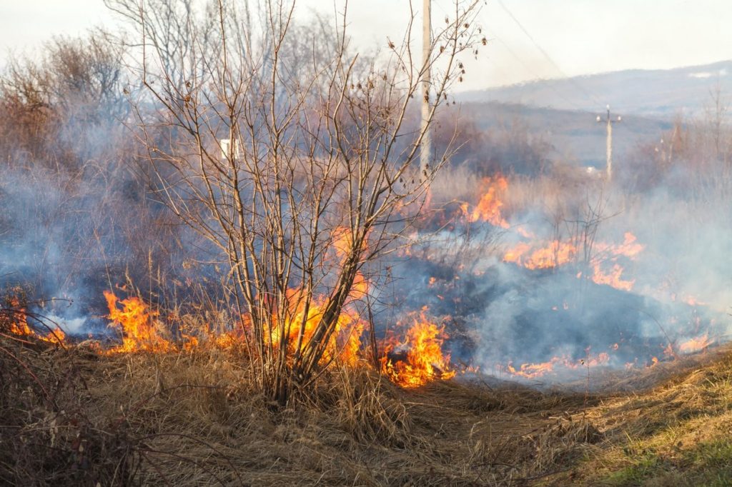 Cel puţin 5 oameni au murit în urma unui incendiu de vegetaţie produs în estul Ucrainei