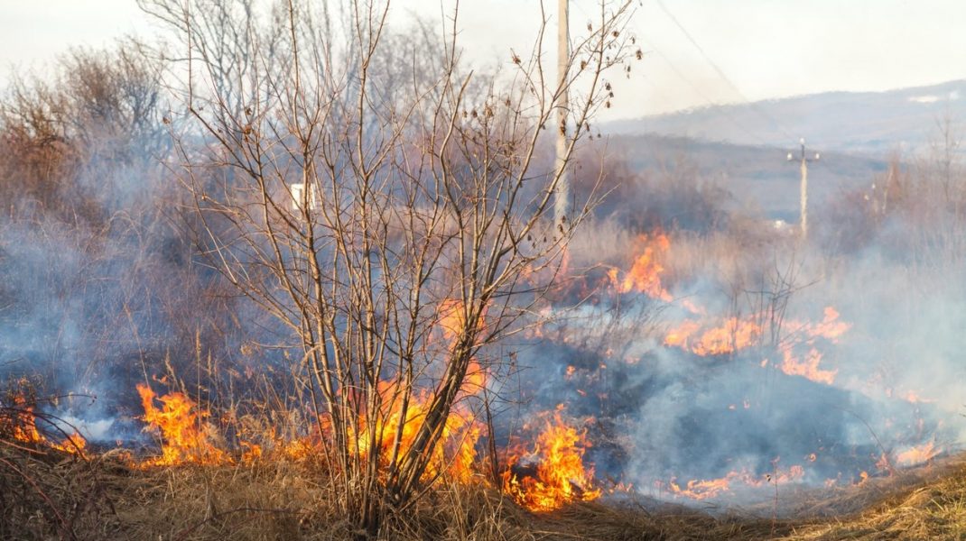 Cel puţin 5 oameni au murit în urma unui incendiu de vegetaţie produs în estul Ucrainei