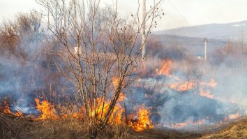 Cel puţin 5 oameni au murit în urma unui incendiu de vegetaţie produs în estul Ucrainei