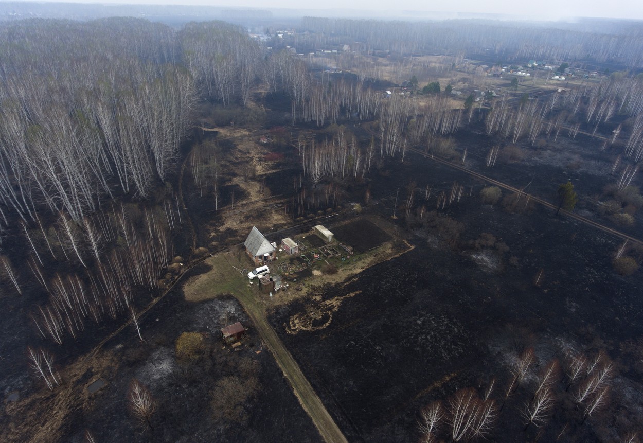 Siberia, în flăcări: „A ars o regiune mai mare decât cea a Portugaliei”. Între timp, serviciul forestier anunță că incendiile se potolesc