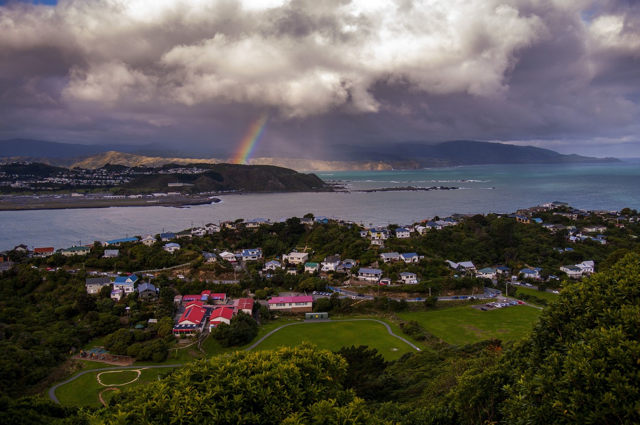 Cum a învins Noua Zeelandă coronavirusul: studiu