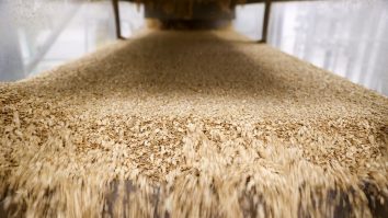 Afacerea care îți poate aduce profit de sute de mii de euro. Conceptul a fost gândit în urmă cu doi ani