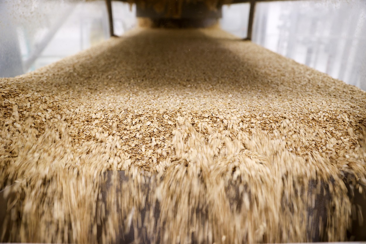 Afacerea care îți poate aduce profit de sute de mii de euro. Conceptul a fost gândit în urmă cu doi ani