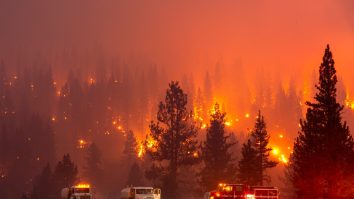 Imaginile dezastrului din California, surprinse de fotografi. Incendiile de vegetație au făcut prăpăd