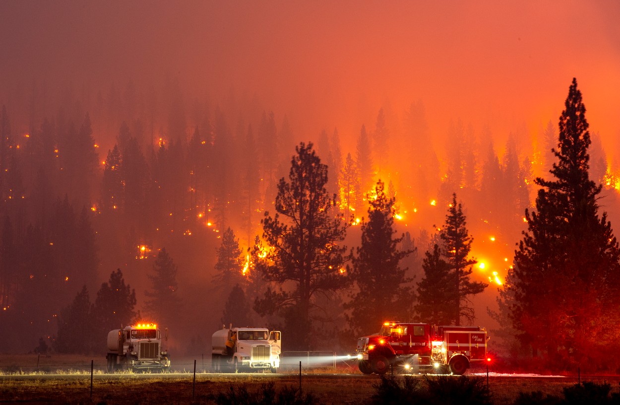 Imaginile dezastrului din California, surprinse de fotografi. Incendiile de vegetație au făcut prăpăd