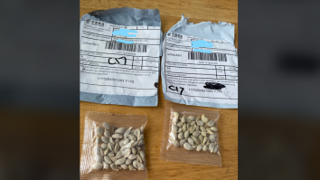 Americanii primesc pachete misterioase, pe care nu le-au comandat, cu semințe din China. Care este motivul