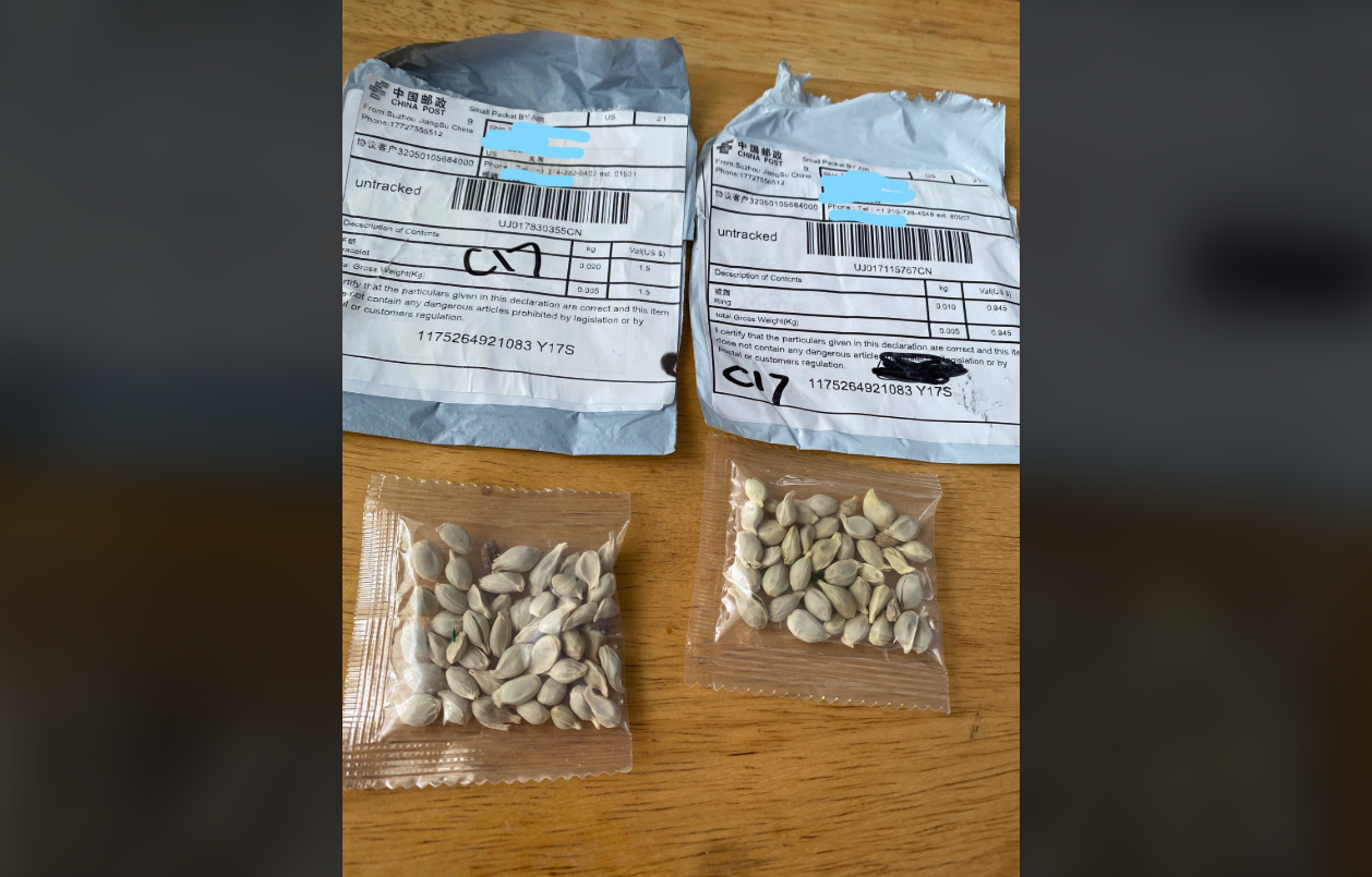 Americanii primesc pachete misterioase, pe care nu le-au comandat, cu semințe din China. Care este motivul