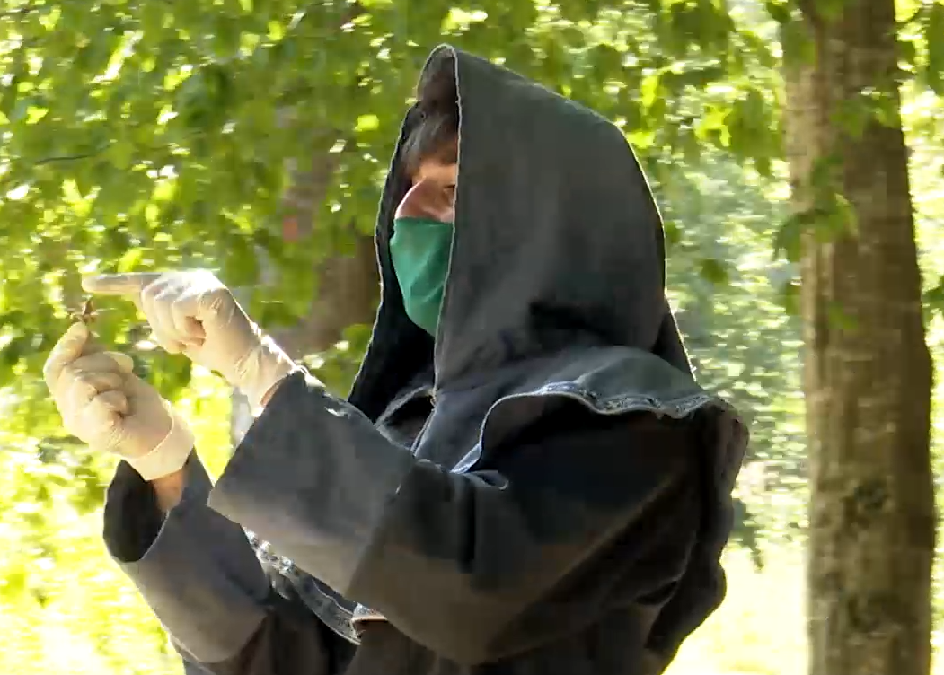 În Poiana Braşov poţi să te întâlneşti cu elfii şi să înveţi secretele naturii