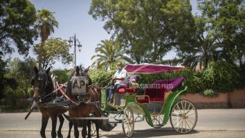 Turismul din Maroc, devastat de criza Covid-19. Oamenii sunt nevoiți să-și vândă caii, principala sursă de venit