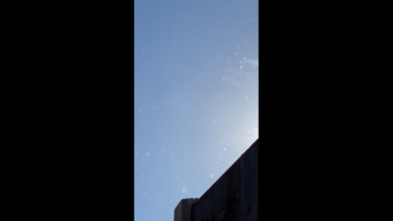 VIDEO. Mii de furnici zburătoare au invadat Marea Britanie. Meteorologii explică fenomenul