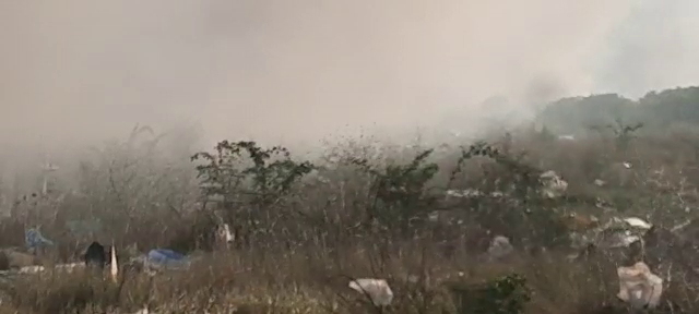 Aproximativ 10.000 de metri pătrați de vegetație au ars joi în București