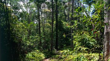 copil-împușcat-în