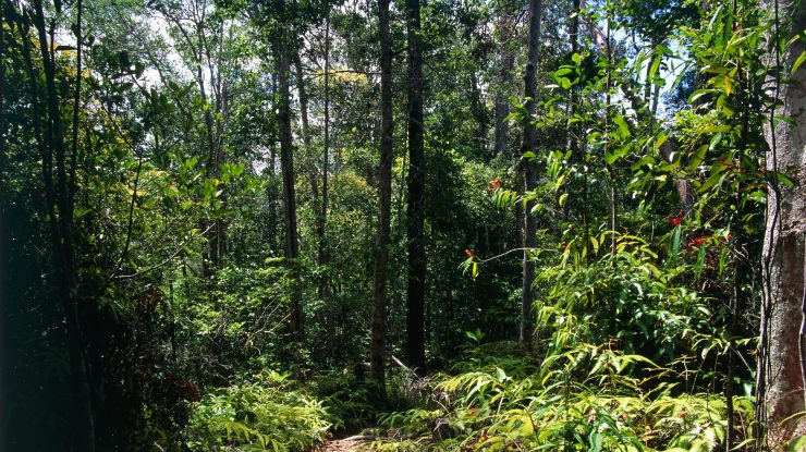 copil-împușcat-în