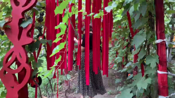 Terapie naturală pentru craiovenii care suferă de anxietate și depresie de pe urma coronavirusului