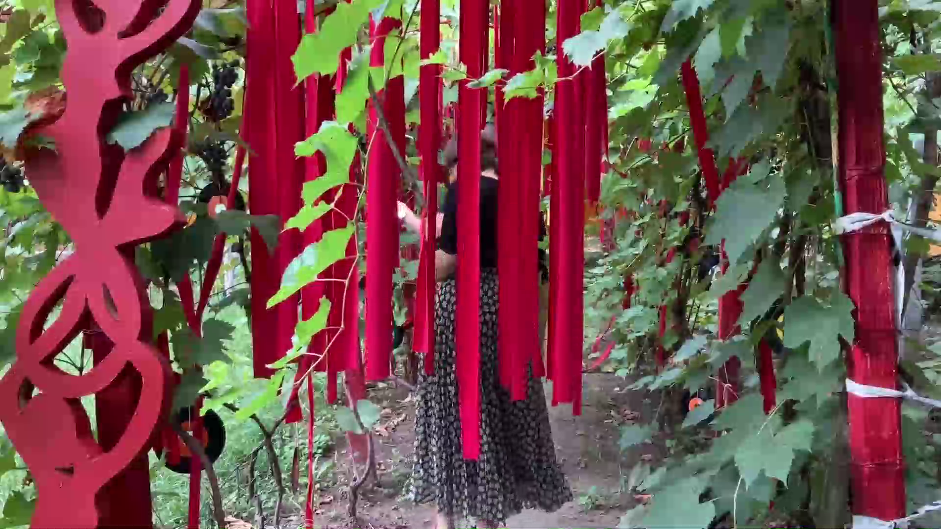 Terapie naturală pentru craiovenii care suferă de anxietate și depresie de pe urma coronavirusului