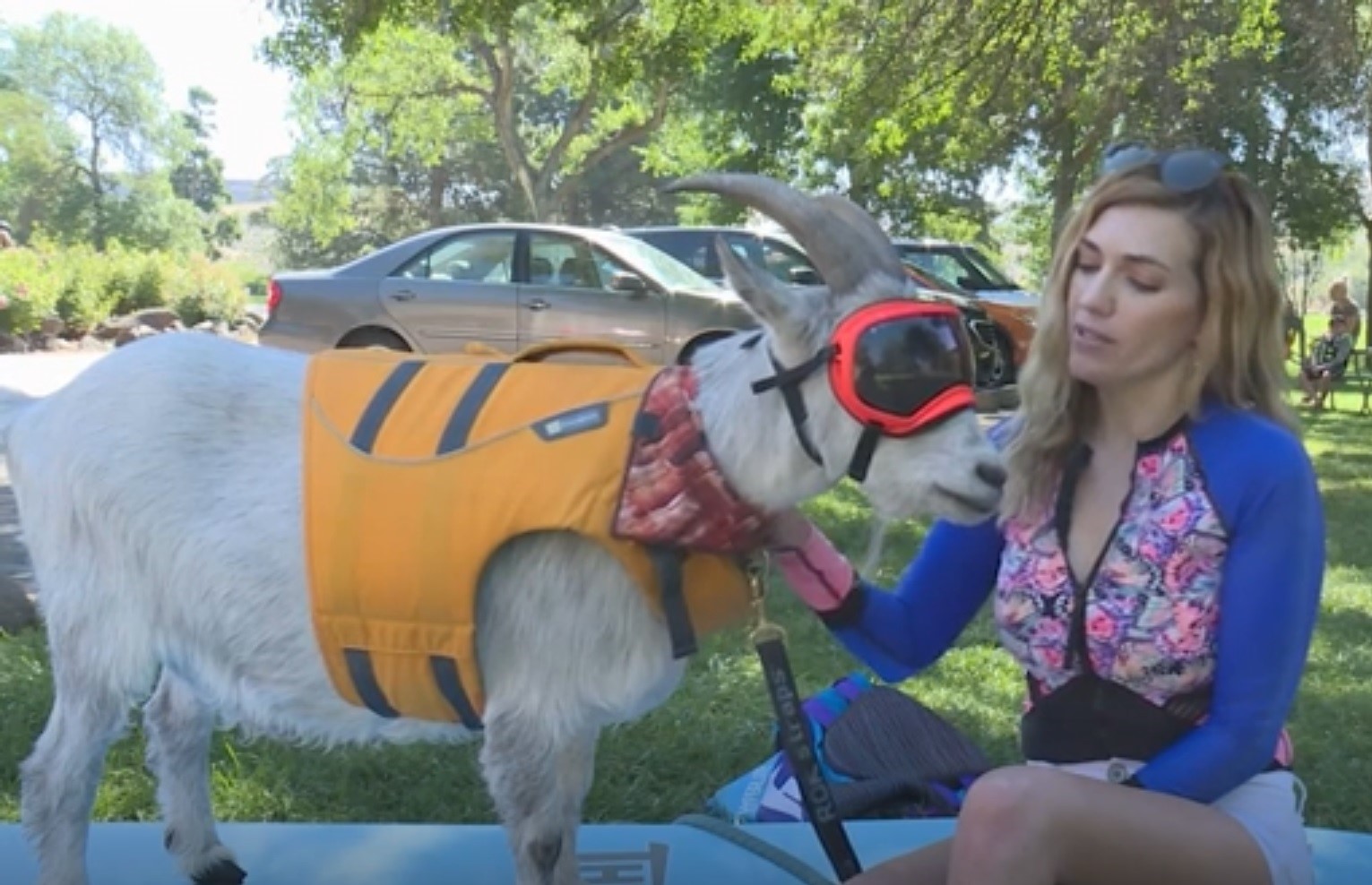 O capră din Idaho este pasionată de vâslit. Ce hobby-uri mai are „domnul Mayhem“