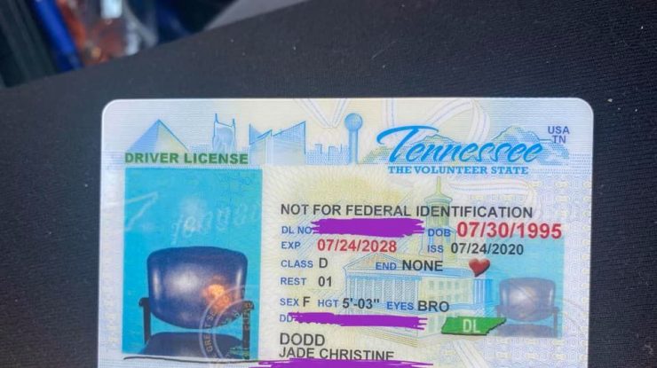 O femeie a fost uimită când a văzut un scaun în loc de chipul ei în poza din permisul de conducere