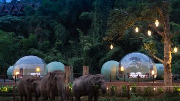 Și-a vândut afacerea pe care o avea în IT și a plecat în Thailanda. Povestea românului care acum organizează excursii