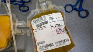 Donează sânge sau plasmă cu anticorpi Covid şi primeşti un bilet la Untold sau Neversea 2021