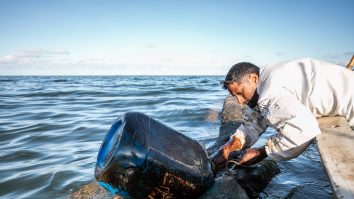 Viața marină din jurul insulei Mauritius, în pericol: Voluntarii au găsit anghile și stele de mare moarte