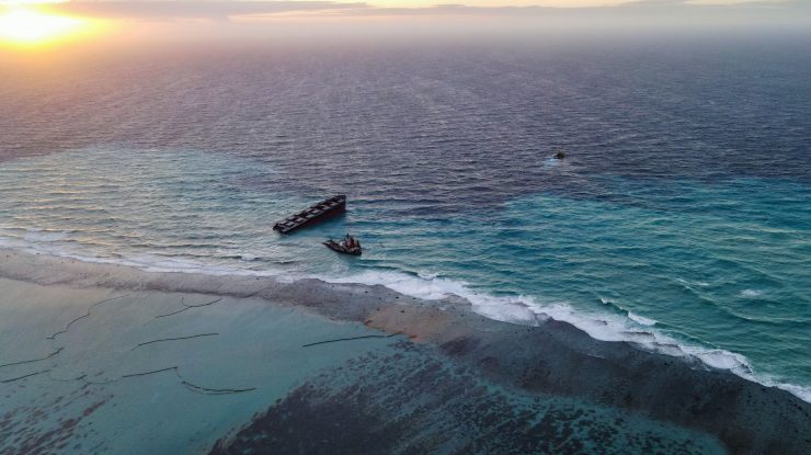 Mauritius: Mai mulți delfini au fost găsiți morți pe plajă, în zona în care vasul petrolier a cauzat un dezastru ecologic