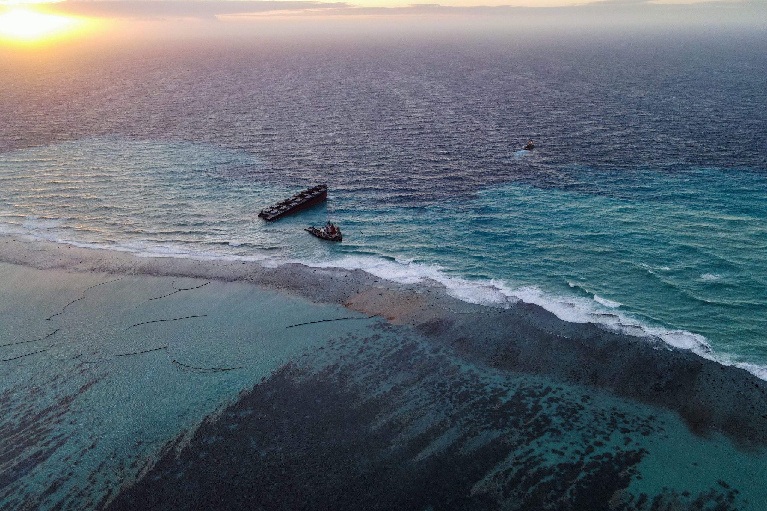 Mauritius: Mai mulți delfini au fost găsiți morți pe plajă, în zona în care vasul petrolier a cauzat un dezastru ecologic