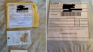 Semințe misterioase, trimise ilegal din China, au fost identificate în SUA. Despre ce specii e vorba