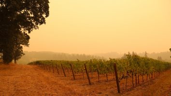 4 orașe din America, mai poluate decât China din cauza incendiilor. Numărul internărilor a crescut