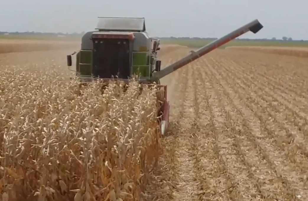 Ministrul Agriculturii spune că nu vrea să înstrăineze terenurile agricole, dar simplifică procedura de vânzare. Explicația lui Oroș