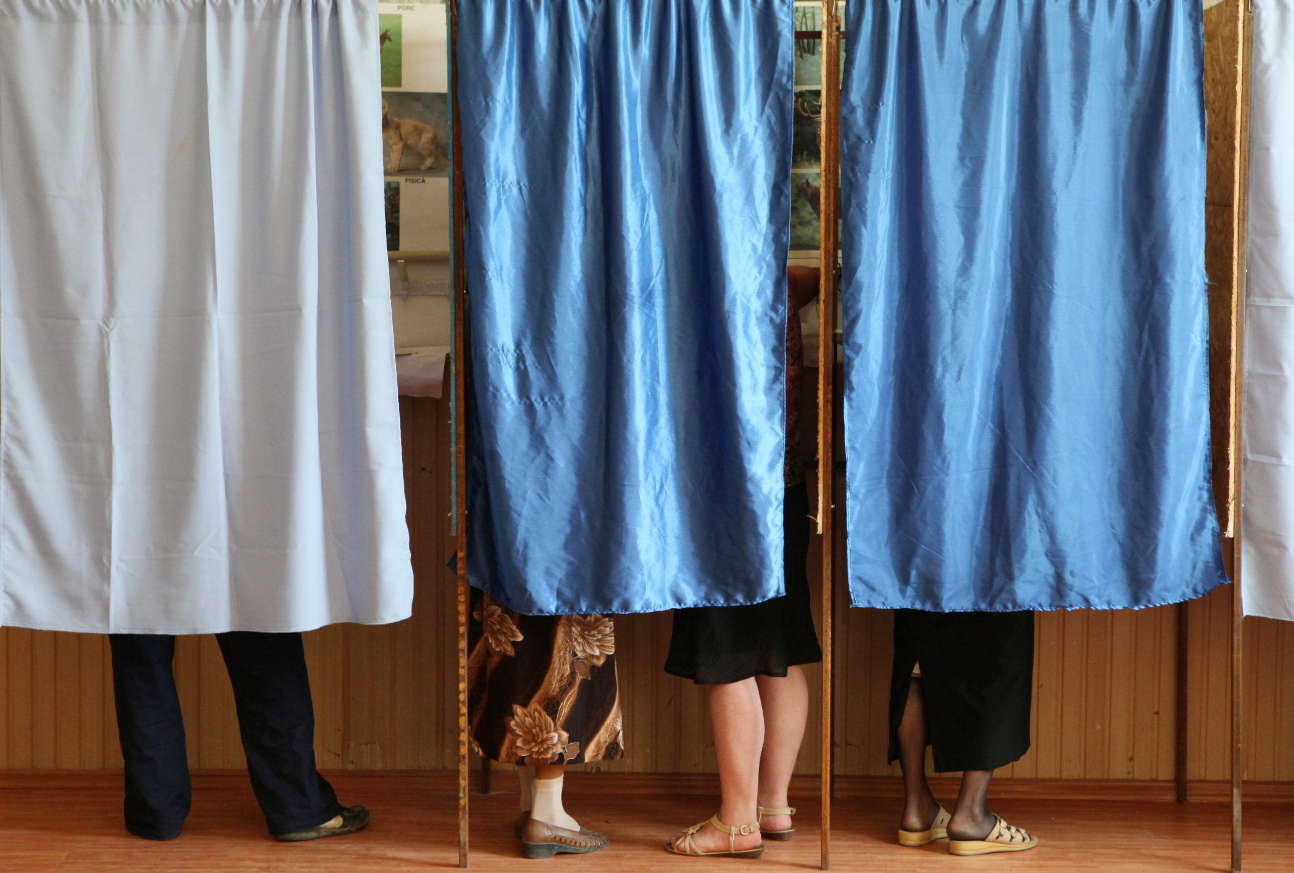 Ciudățenii electorale. Care este statul în care idioții nu au drept de vot