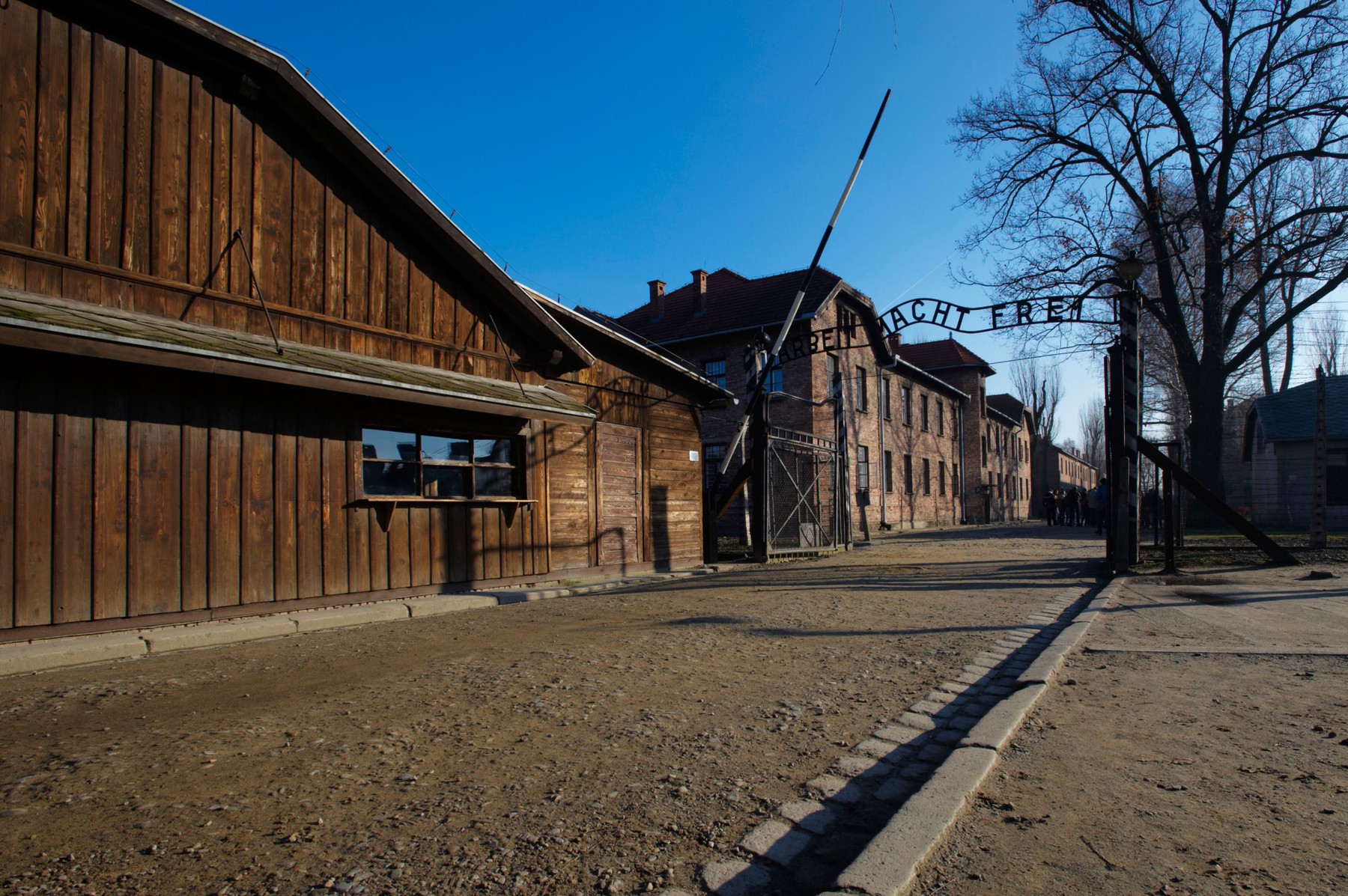 63% dintre tinerii americani nu știu că 6 milioane de evrei au fost uciși în timpul Holocaustului