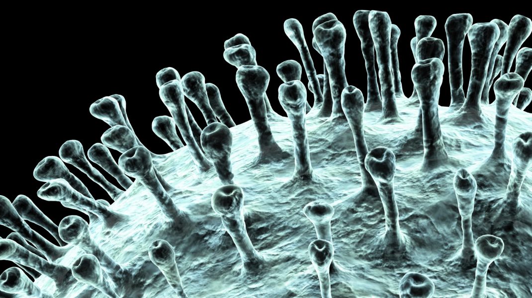 Coronavirus
