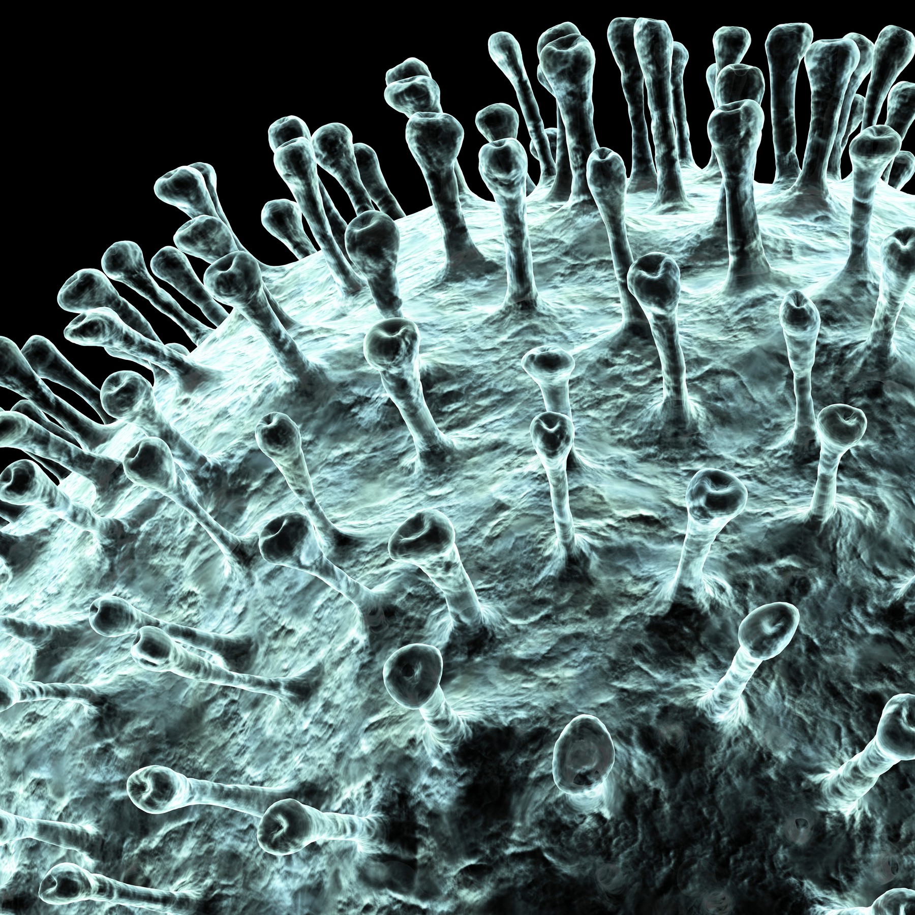 Numărul deceselor provocate de coronavirus se apropie de un milion. Care este cea mai afectată țară din lume