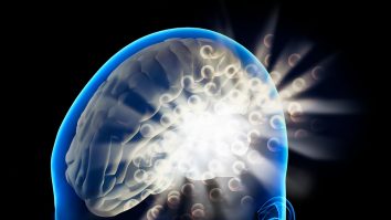 De la neurobiologie la science fiction. Organoizii și transplanturile de neuroni ar putea oferi noi modalități de a studia creierul