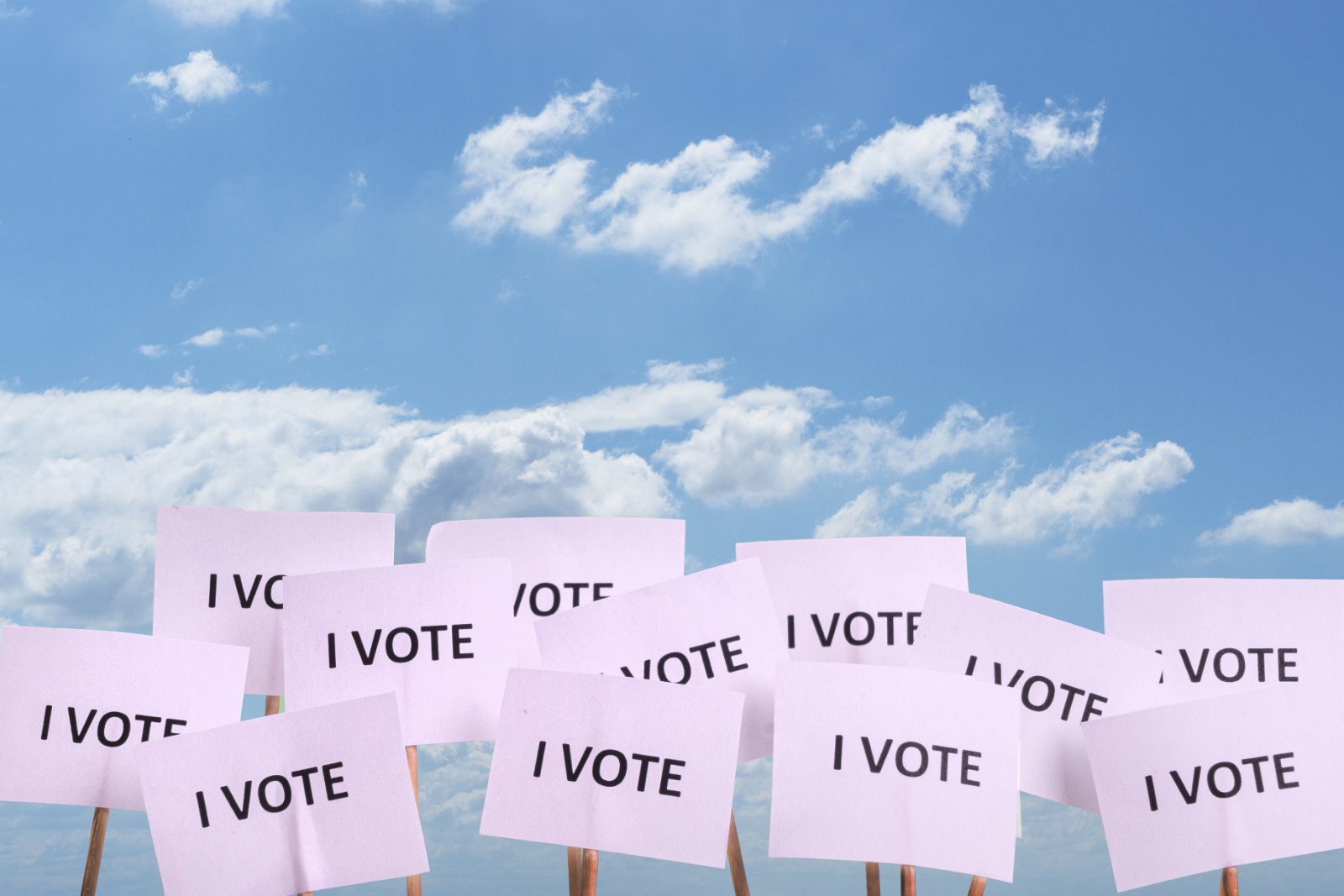 Alegeri locale 2020. Curiozități și statistici interesante. Categoria de vârstă care votează cel mai mult