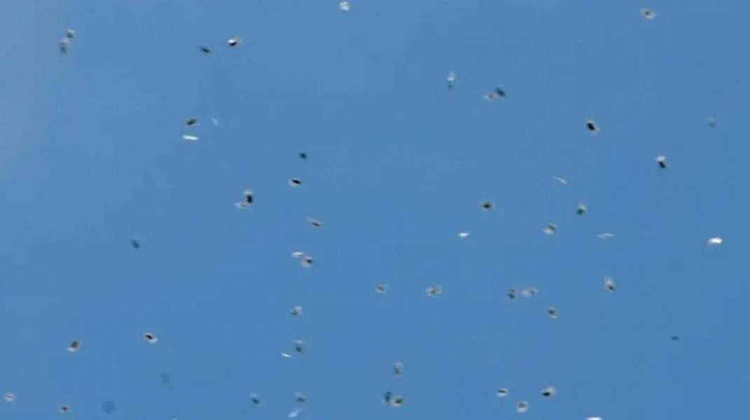 A „plouat“ cu sute de pungi de canabis la Tel Aviv. Drogurile au fost aruncate de o dronă