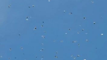 A „plouat“ cu sute de pungi de canabis la Tel Aviv. Drogurile au fost aruncate de o dronă